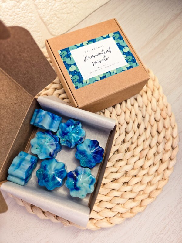 Wax melt de Manantial secreto