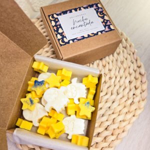 Wax melt de Noche encantada