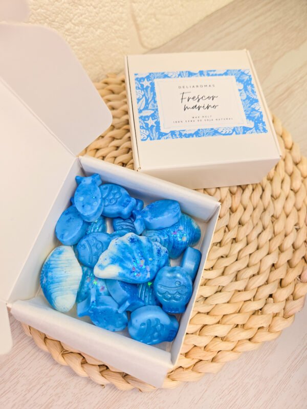 Wax melt de Frescor marino