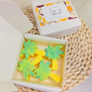 Wax melt de Coco y cítricos