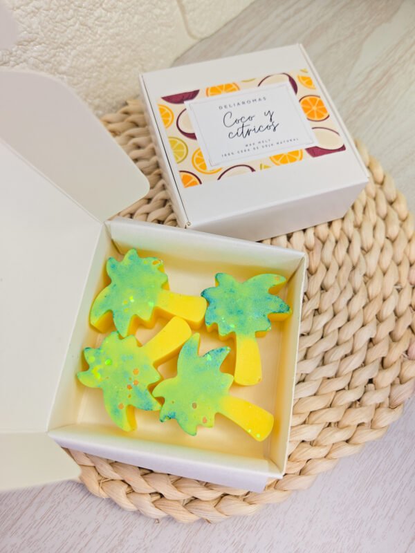 Wax melt de Coco y cítricos