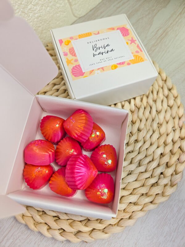 Wax melt de Brisa marina