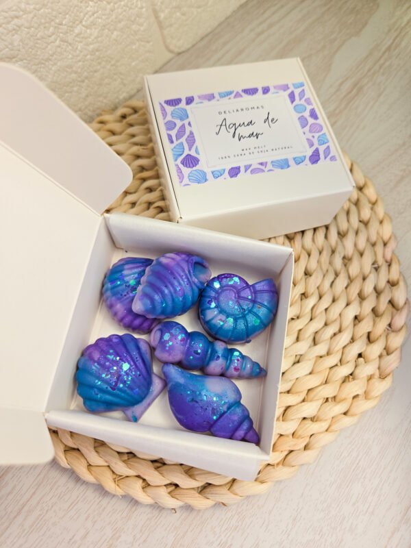 Wax melt de Agua de mar