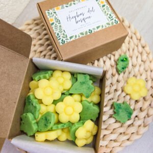 Wax melt de Hierbas del bosque