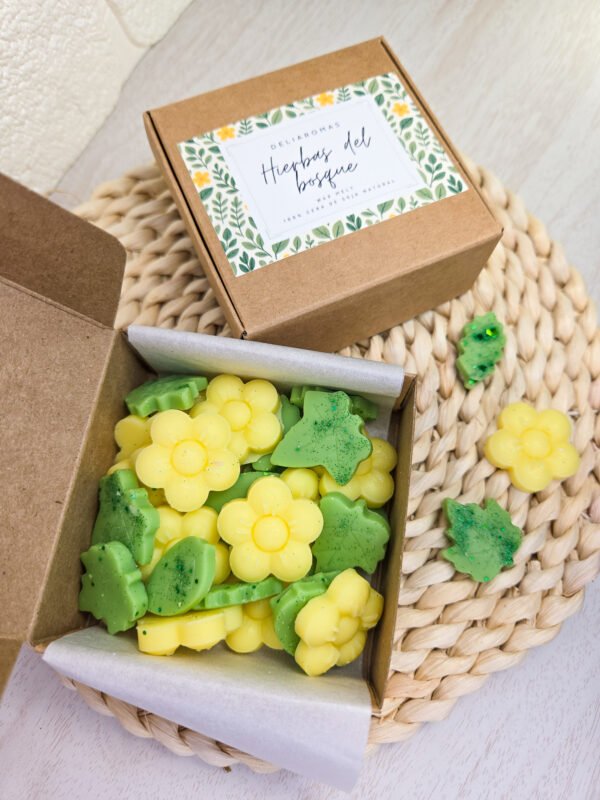 Wax melt de Hierbas del bosque