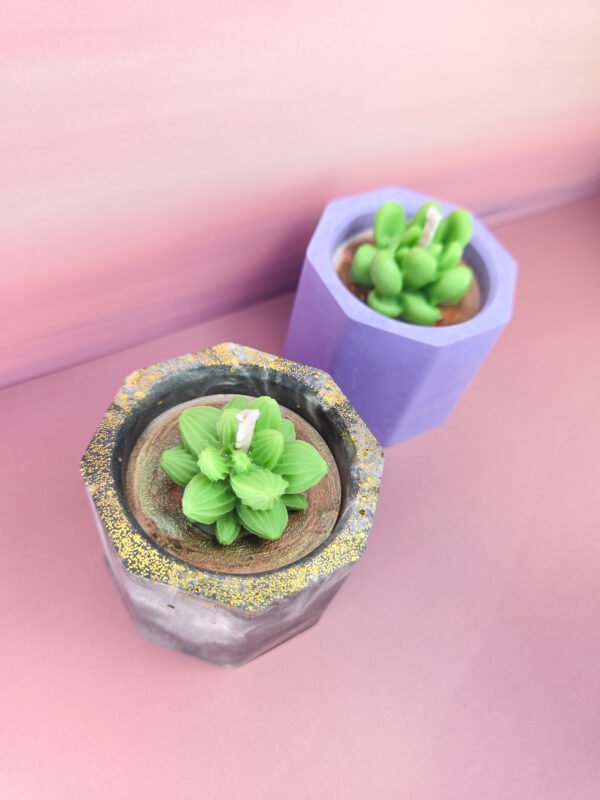 Vela aromática Cactus - Imagen 2