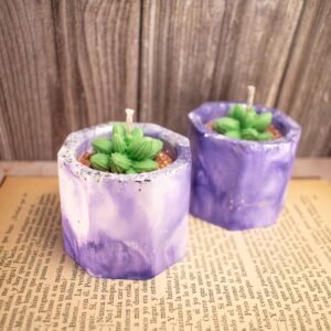Vela aromática Cactus