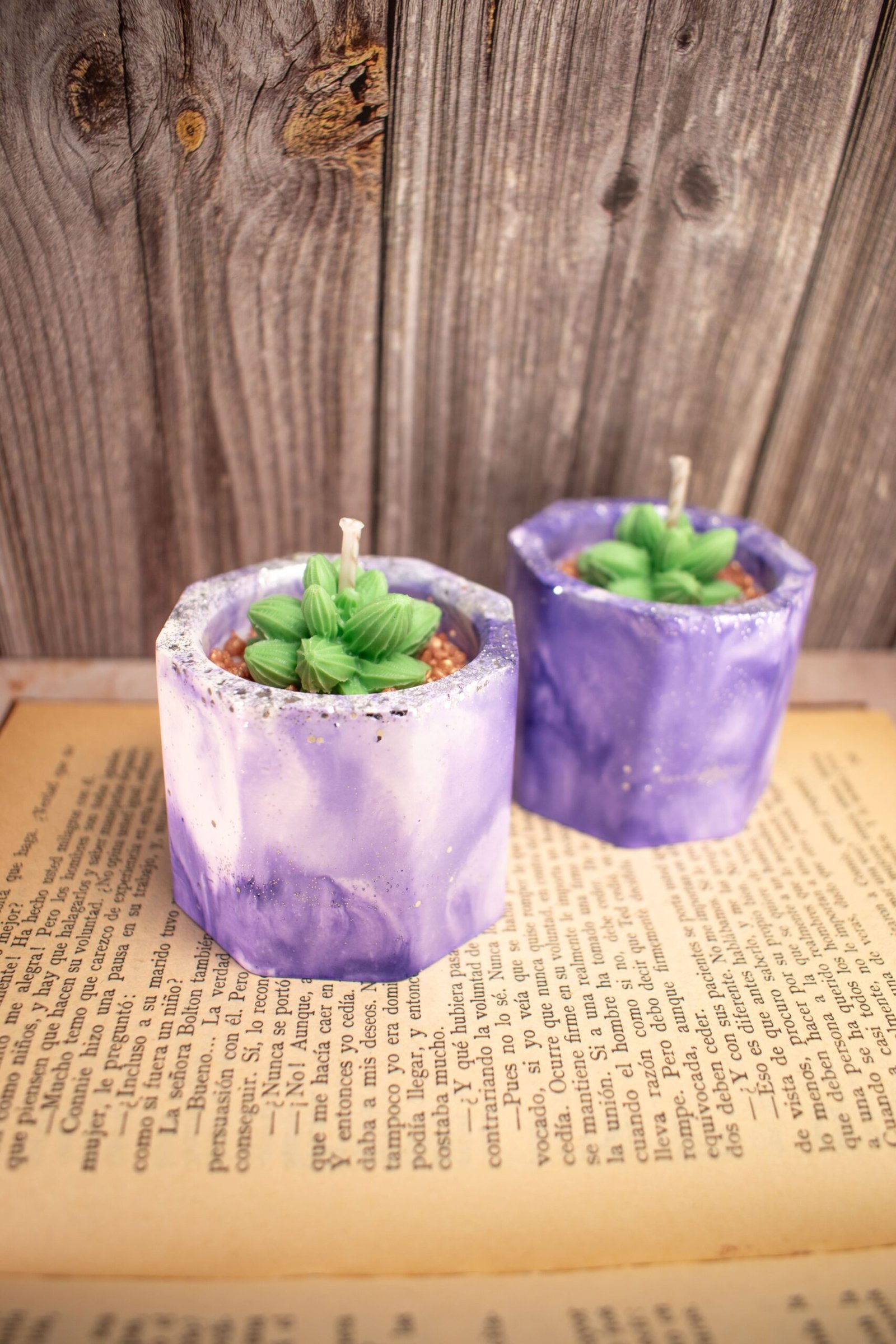 Vela aromática Cactus