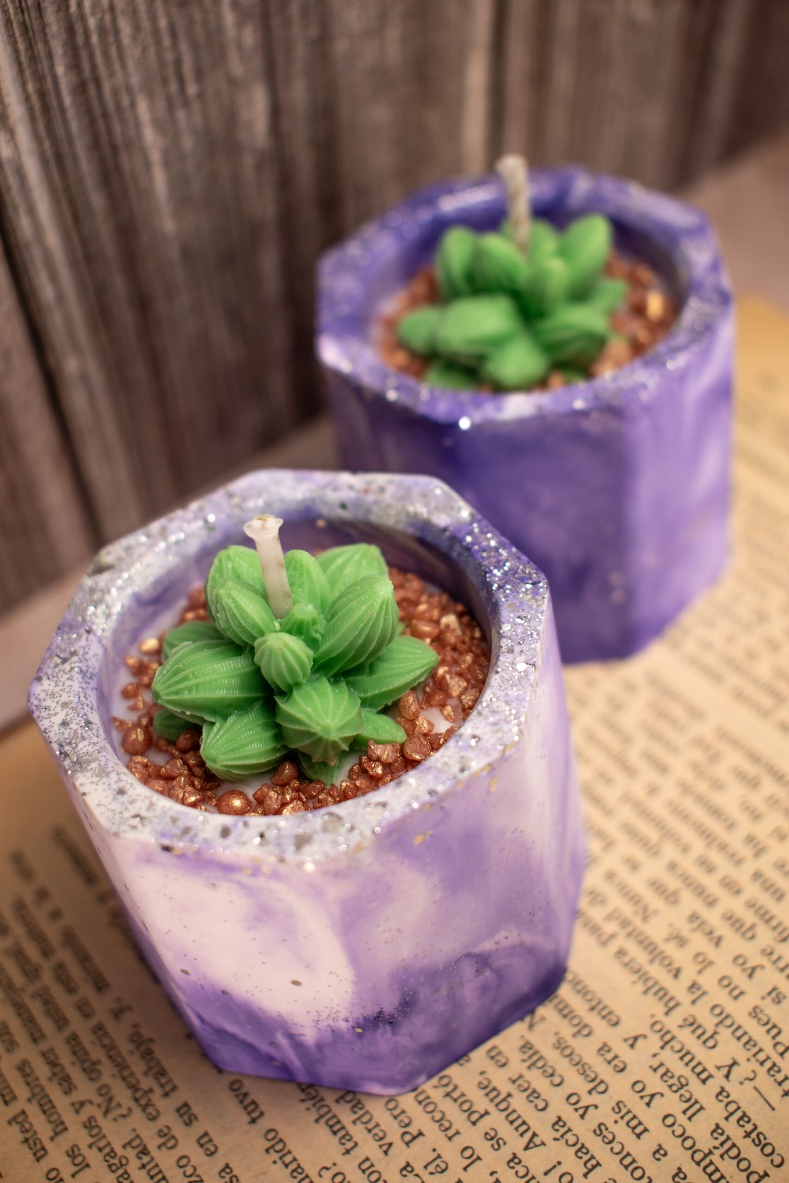 Vela aromática Cactus