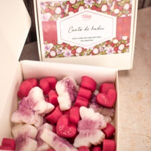 Wax melt de Canto de hadas