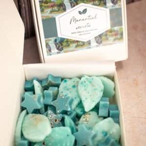 Wax melt de Manantial secreto