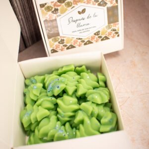 Wax melt de Después de la lluvia