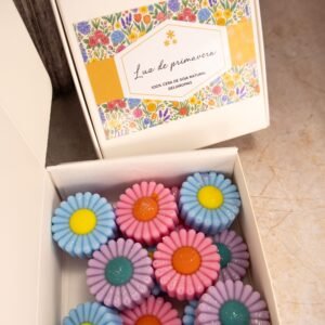 Wax melts de Luz de primavera