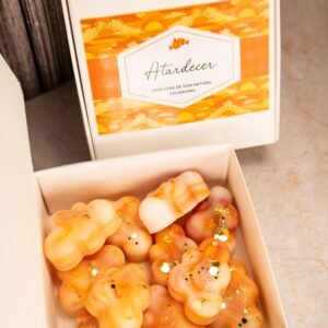 Wax melt de Atardecer