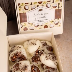 Wax melt de Leche de coco y vainilla